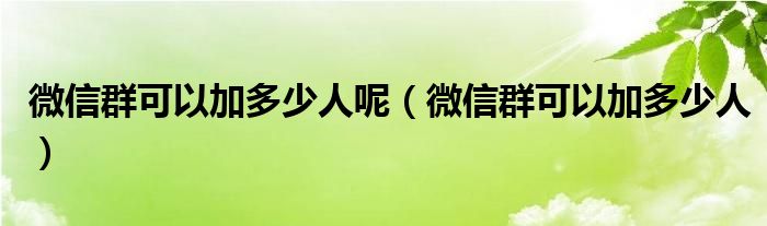 微信群可以加多少人呢(微信群可以加多少人)