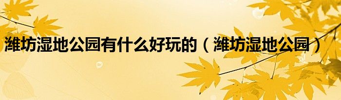 潍坊湿地公园有什么好玩的(潍坊湿地公园)
