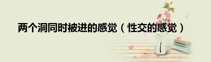 两个洞同时被进的感觉(性交的感觉)
