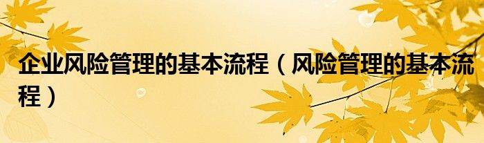 企业风险管理的基本流程(风险管理的基本流程)