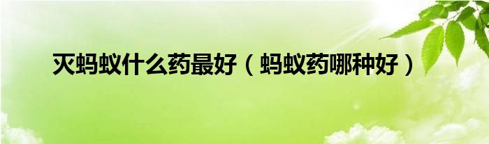 灭蚂蚁什么药最好(蚂蚁药哪种好)