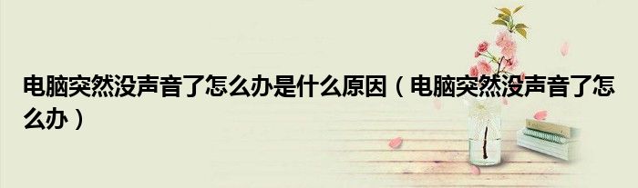 电脑突然没声音了怎么办是什么原因(电脑突然没声音了怎么办)
