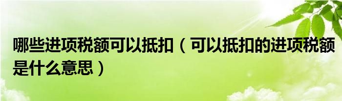 哪些进项税额可以抵扣(可以抵扣的进项税额是什么意思)