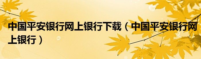 中国平安银行网上银行下载(中国平安银行网上银行)