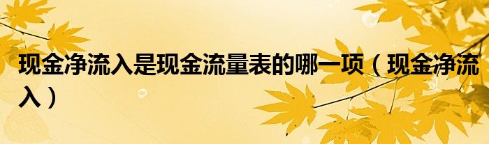 现金净流入是现金流量表的哪一项(现金净流入)