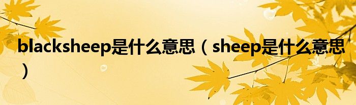 blacksheep是什么意思(sheep是什么意思)