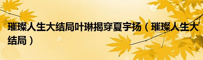 璀璨人生大结局叶琳揭穿夏宇扬(璀璨人生大结局)