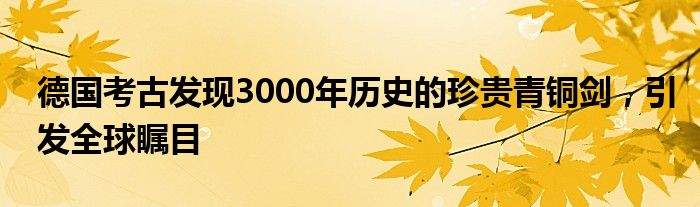 德国考古发现3000年历史的珍贵青铜剑,引发全球瞩目