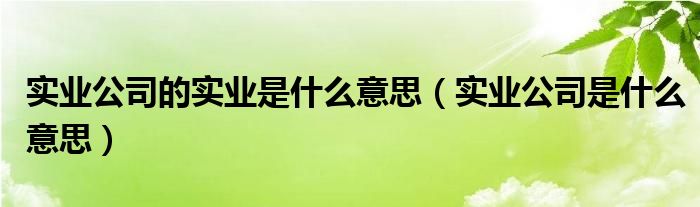 实业公司的实业是什么意思(实业公司是什么意思)