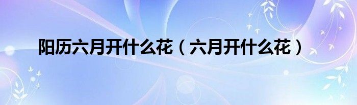阳历六月开什么花(六月开什么花)