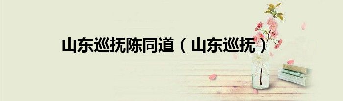 山东巡抚陈同道(山东巡抚)