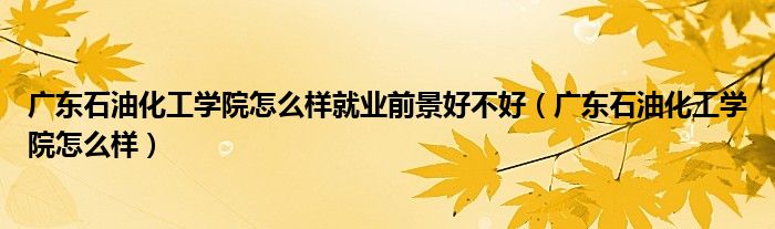 广东石油化工学院怎么样就业前景好不好(广东石油化工学院怎么样)