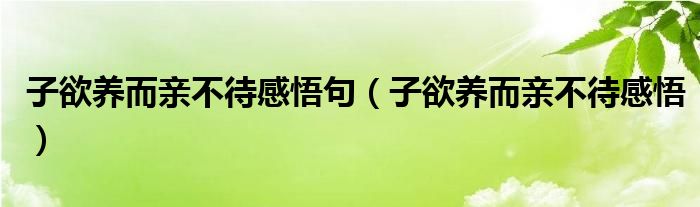 子欲养而亲不待感悟句(子欲养而亲不待感悟)