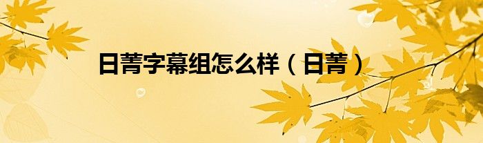 日菁字幕组怎么样（日菁）
