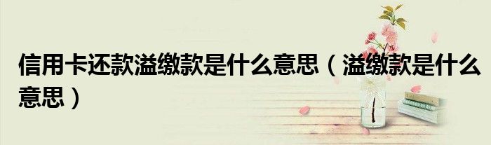信用卡还款溢缴款是什么意思(溢缴款是什么意思)