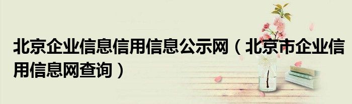 北京企业信息信用信息公示网(北京市企业信用信息网查询)