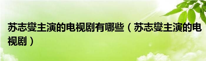 苏志燮主演的电视剧有哪些（苏志燮主演的电视剧）