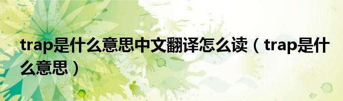 trap是什么意思中文翻译怎么读(trap是什么意思)