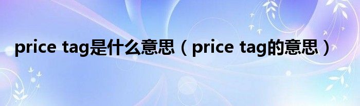 price tag是什么意思(price tag的意思)