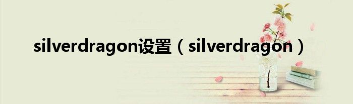 silverdragon设置(silverdragon)
