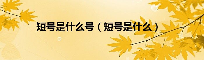 短号是什么号(短号是什么)