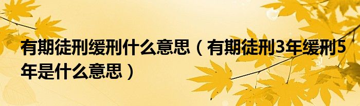 有期徒刑缓刑什么意思(有期徒刑3年缓刑5年是什么意思)