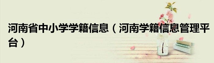河南省中小学学籍信息(河南学籍信息管理平台)