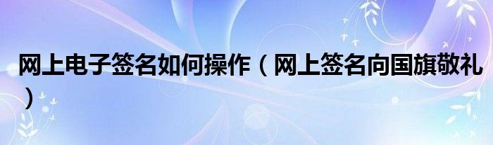 网上电子签名如何操作(网上签名向国旗敬礼)