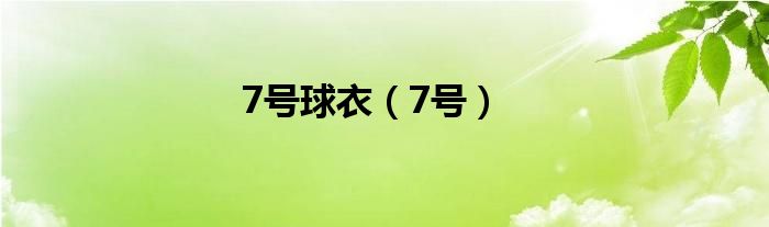 7号球衣（7号）