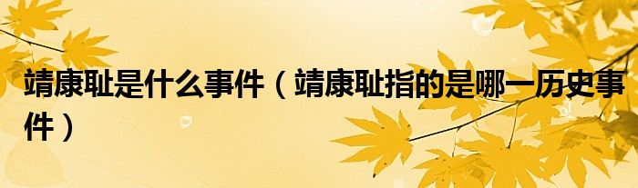 靖康耻是什么事件(靖康耻指的是哪一历史事件)