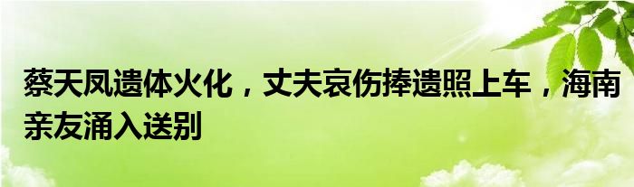 蔡天凤遗体火化,丈夫哀伤捧遗照上车,海南亲友涌入送别