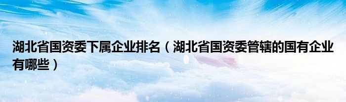 湖北省国资委下属企业排名(湖北省国资委管辖的国有企业有哪些)