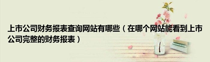 上市公司财务报表查询网站有哪些(在哪个网站能看到上市公司完整的财务报表)