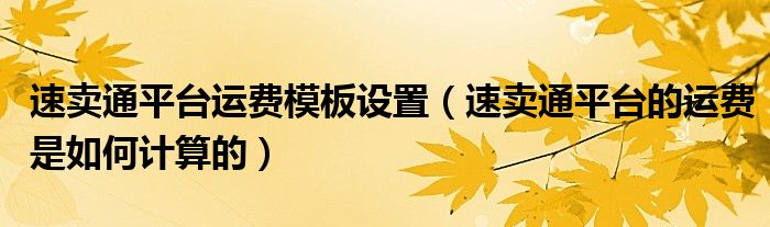 速卖通平台运费模板设置(速卖通平台的运费是如何计算的)