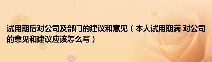 试用期后对公司及部门的建议和意见(本人试用期满 对公司的意见和建议应该怎么写)
