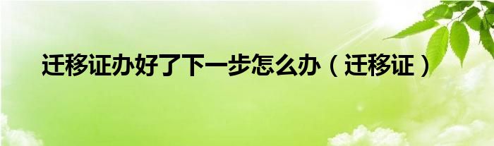 迁移证办好了下一步怎么办(迁移证)