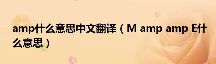 amp什么意思中文翻译(M amp amp E什么意思)