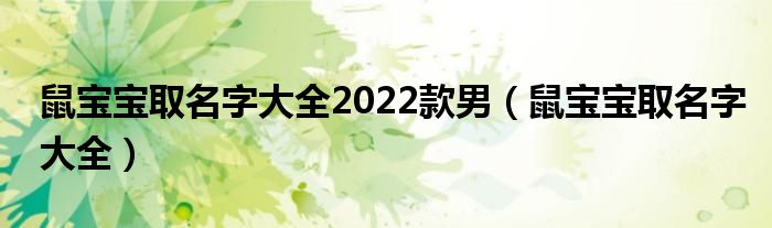鼠宝宝取名字大全2022款男(鼠宝宝取名字大全)