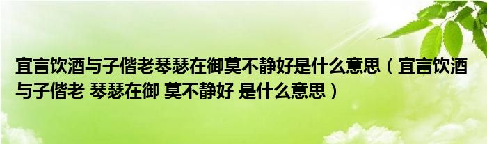 宜言饮酒与子偕老琴瑟在御莫不静好是什么意思(宜言饮酒 与子偕老 琴瑟在御 莫不静好 是什么意思)