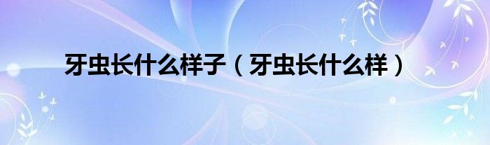 牙虫长什么样子(牙虫长什么样)