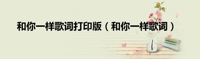 和你一样歌词打印版(和你一样歌词)