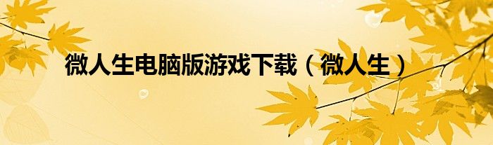 微人生电脑版游戏下载(微人生)
