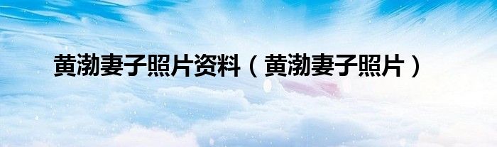 黄渤妻子照片资料(黄渤妻子照片)