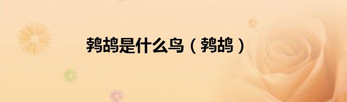 鹁鸪是什么鸟（鹁鸪）