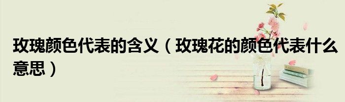 玫瑰颜色代表的含义(玫瑰花的颜色代表什么意思)