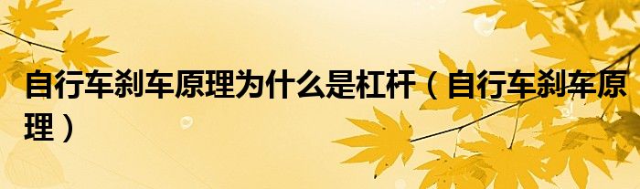 自行车刹车原理为什么是杠杆(自行车刹车原理)