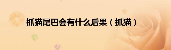 抓猫尾巴会有什么后果(抓猫)