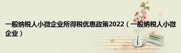 一般纳税人小微企业所得税优惠政策2022(一般纳税人小微企业)