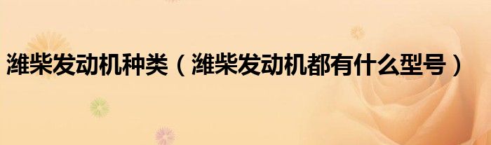 潍柴发动机种类(潍柴发动机都有什么型号)