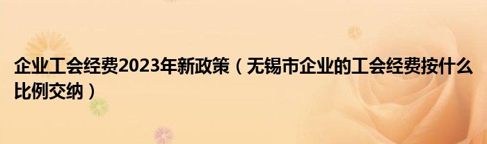 企业工会经费2023年新政策(无锡市企业的工会经费按什么比例交纳)